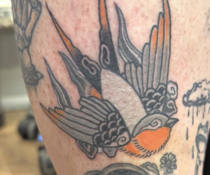 Chloe bird tattoo done at broken puppet tattoo Worthing uk