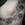 Black and grey flower tattoo at broken puppet UK