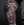 Poseidon half sleeve black and grey tattoo at broken puppet tattoo studio